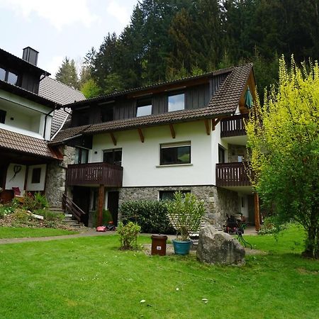 Hoellkopf - Stubenhof, Black Forest Simonswald Ngoại thất bức ảnh