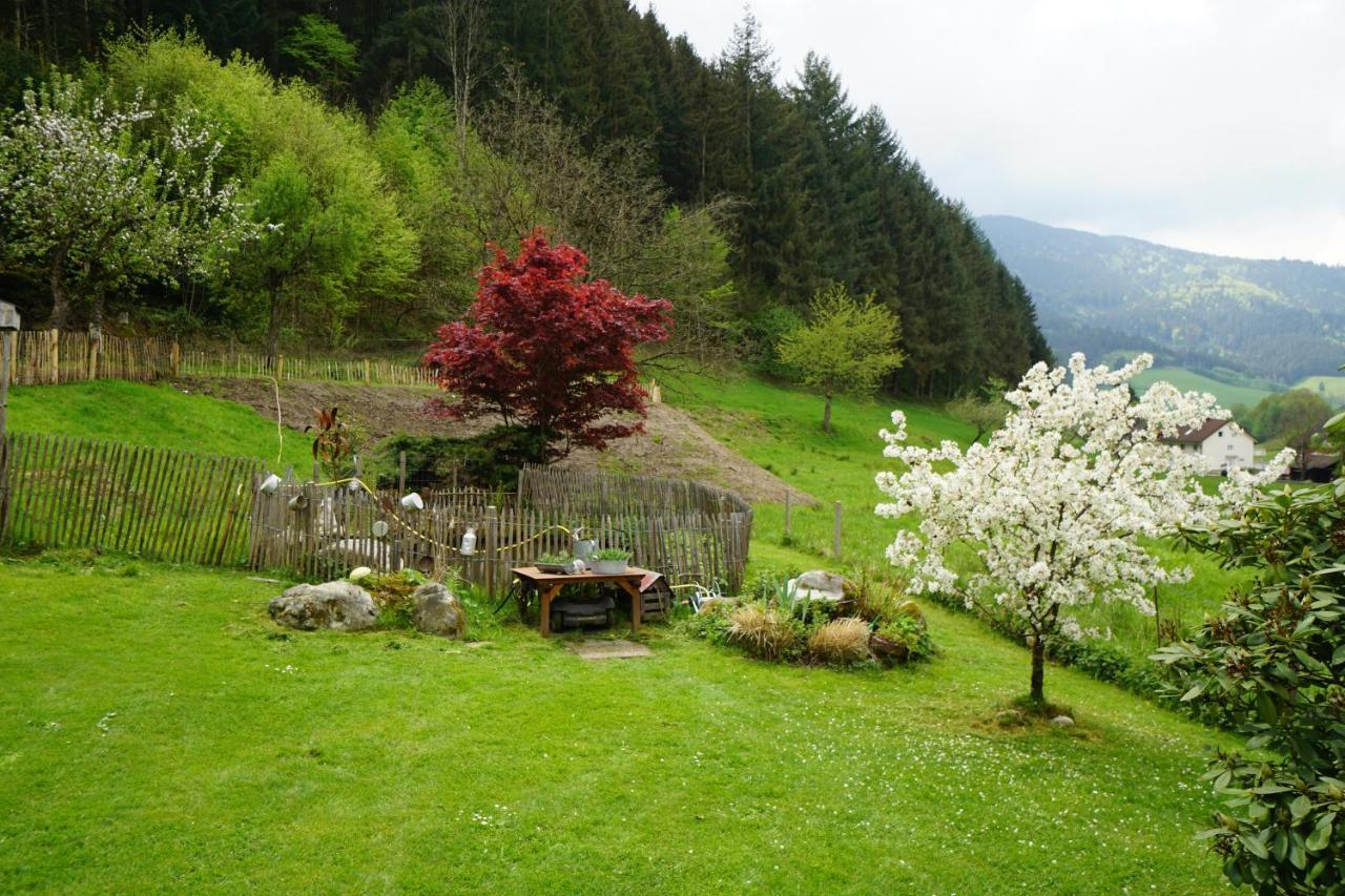 Hoellkopf - Stubenhof, Black Forest Simonswald Ngoại thất bức ảnh