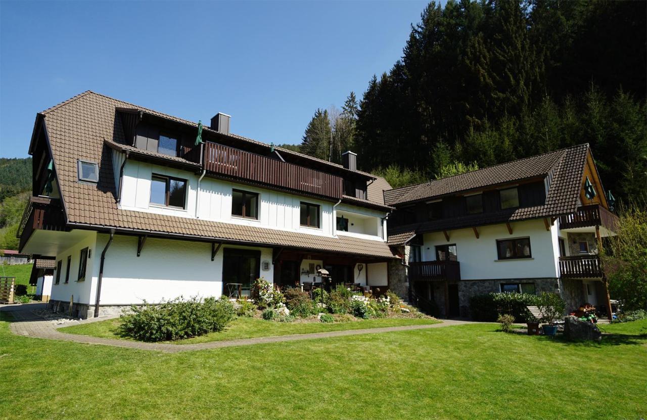 Hoellkopf - Stubenhof, Black Forest Simonswald Ngoại thất bức ảnh