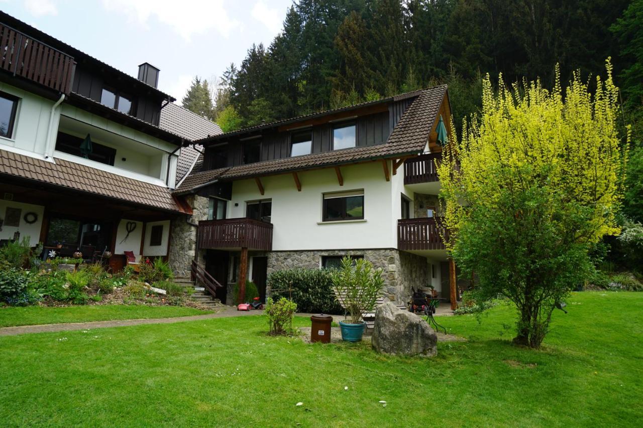 Hoellkopf - Stubenhof, Black Forest Simonswald Ngoại thất bức ảnh